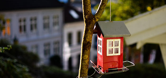 Jaarlijkse Europese Gemeenschappelijk Wonen Dag 2019