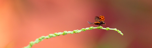 Nieuwsbrief mei 2023