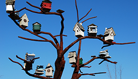 Panel Centrum Groepswonen gaat van start