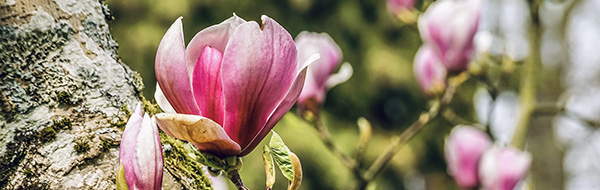 Nieuwsbrief maart 2024