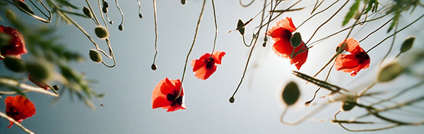 Nieuwsbrief juli 2022