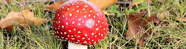 Nieuwsbrief oktober 2023