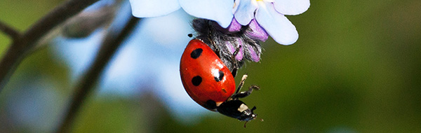 Nieuwsbrief mei 2020
